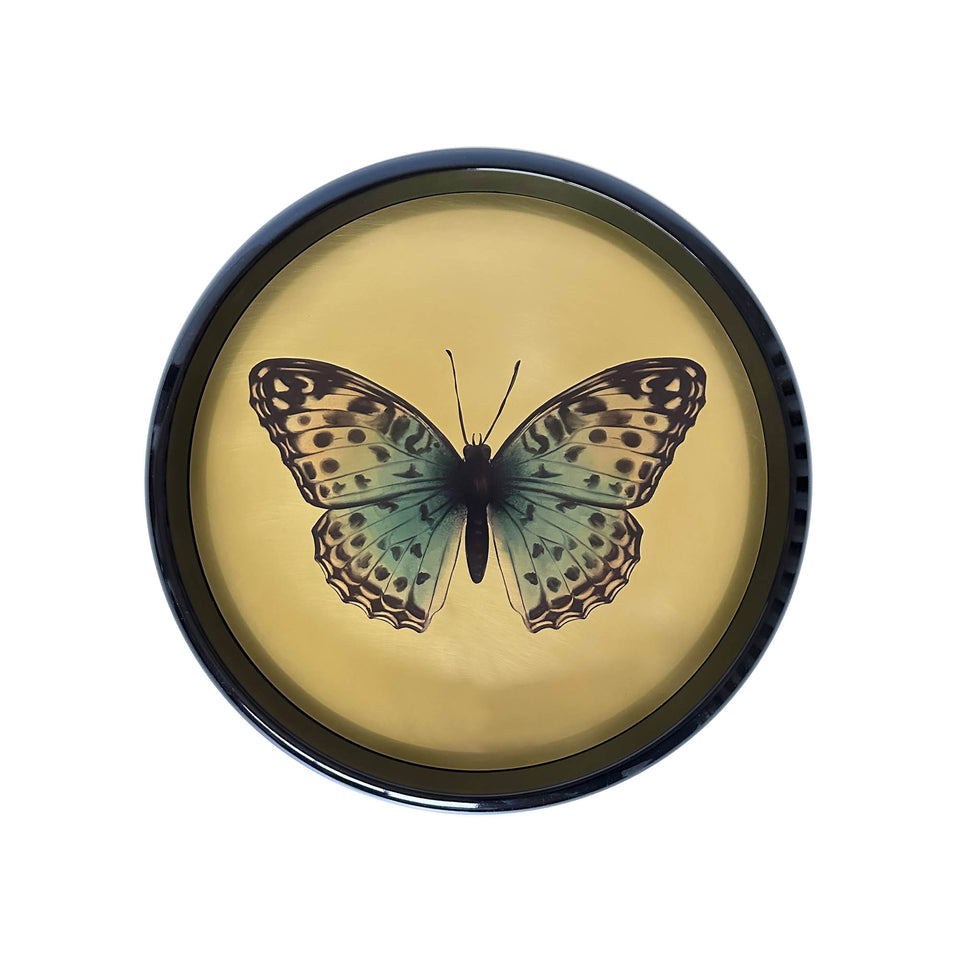 Polished Tray Brass Butterfly