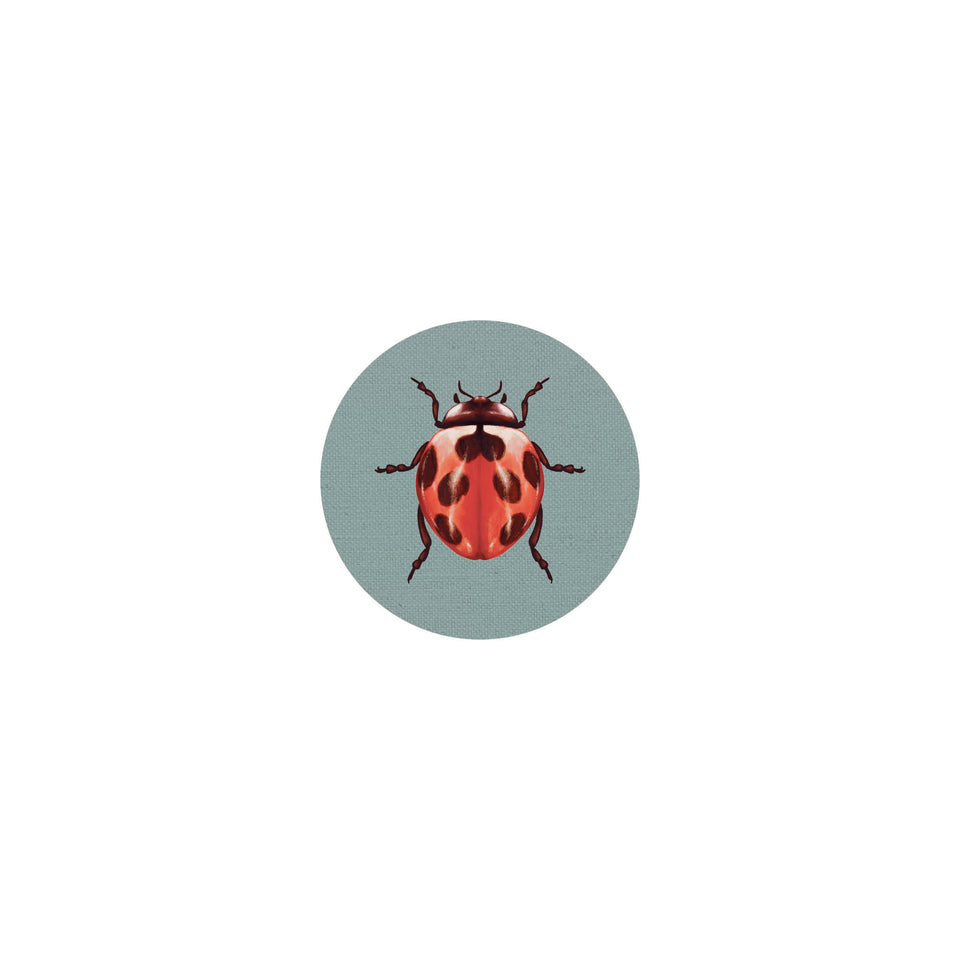 Insects coaster