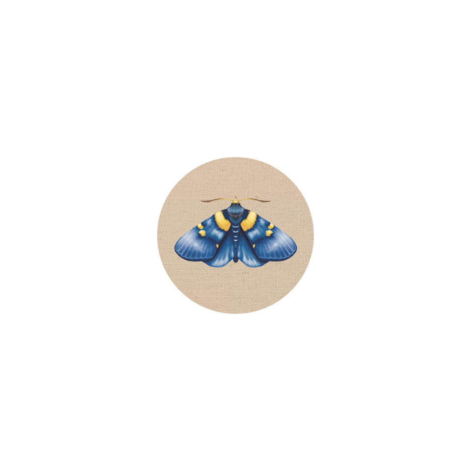 Insects coaster