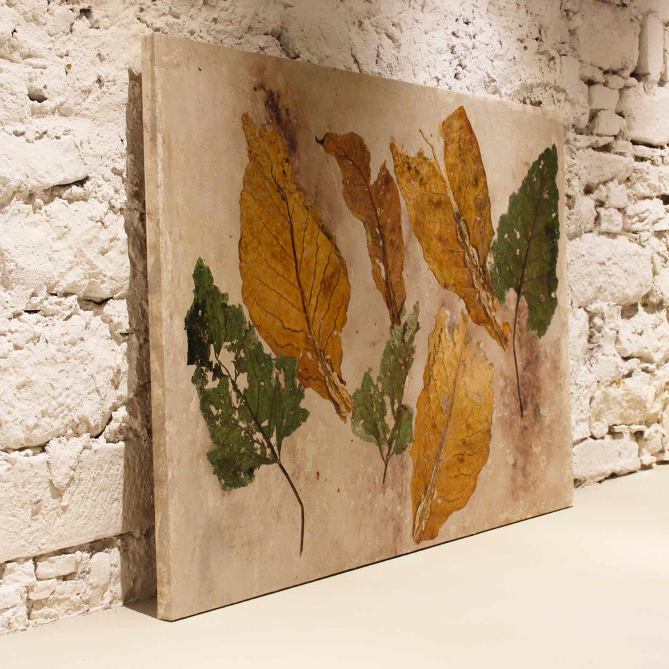 Tobacco-Burdock cloth