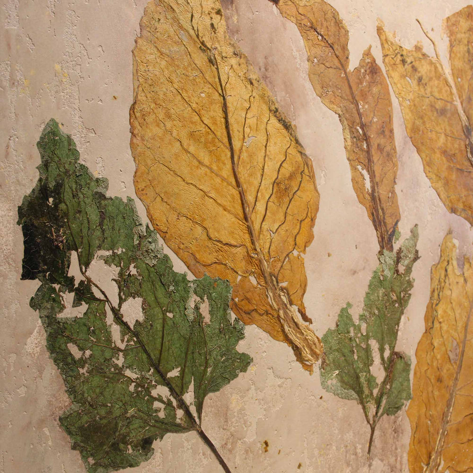 Tobacco-Burdock cloth